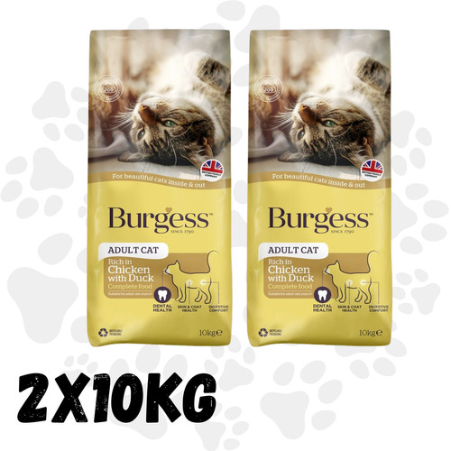 Burgess adult cat - cat, kg