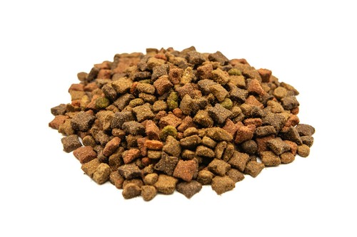 Complete dry adult - adult, cat