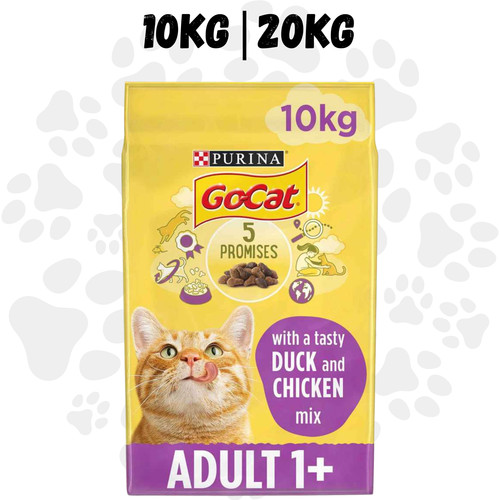 Cat duck chicken - duck, &