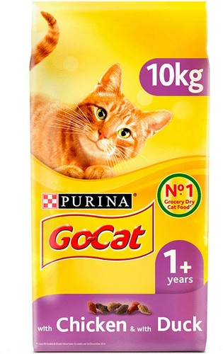 Cat adult with - cat, chicken