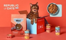 Wet Cat Food - 20x Cans & 1kg